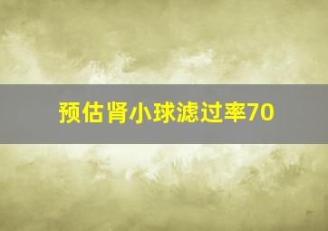 预估肾小球滤过率70