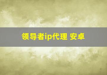 领导者ip代理 安卓