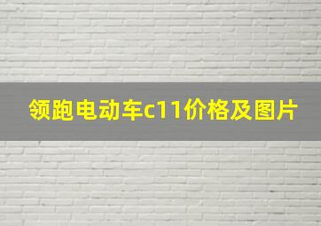 领跑电动车c11价格及图片