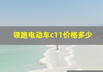 领跑电动车c11价格多少