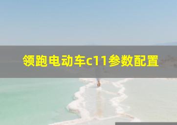 领跑电动车c11参数配置