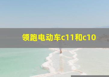 领跑电动车c11和c10