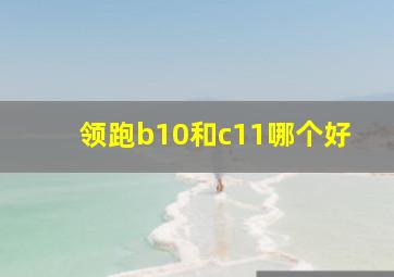 领跑b10和c11哪个好