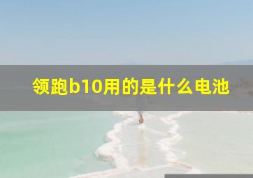 领跑b10用的是什么电池