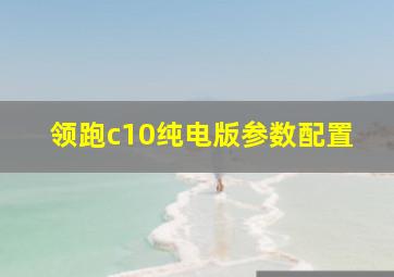 领跑c10纯电版参数配置