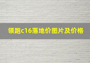 领跑c16落地价图片及价格