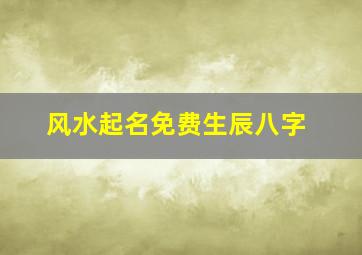 风水起名免费生辰八字