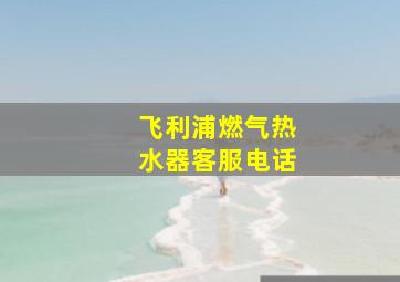 飞利浦燃气热水器客服电话