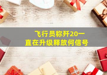 飞行员称歼20一直在升级释放何信号