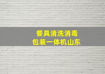 餐具清洗消毒包装一体机山东