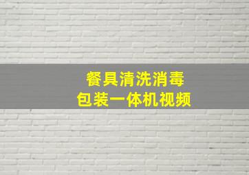 餐具清洗消毒包装一体机视频