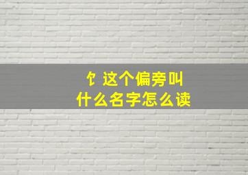 饣这个偏旁叫什么名字怎么读