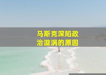 马斯克深陷政治漩涡的原因