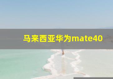 马来西亚华为mate40