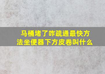 马桶堵了咋疏通最快方法坐便器下方皮卷叫什么