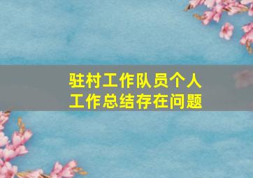 驻村工作队员个人工作总结存在问题