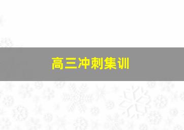 高三冲刺集训