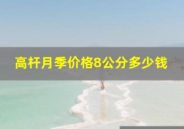 高杆月季价格8公分多少钱