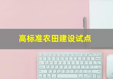 高标准农田建设试点