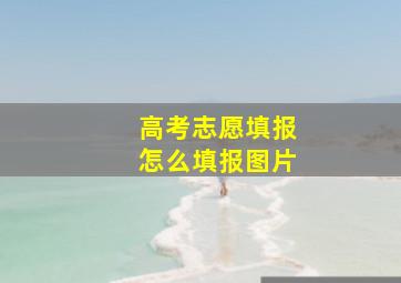 高考志愿填报怎么填报图片