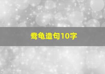 鸯龟造句10字