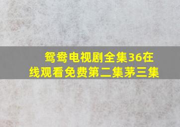 鸳鸯电视剧全集36在线观看免费第二集茅三集