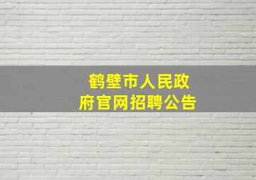 鹤壁市人民政府官网招聘公告