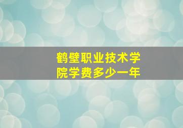 鹤壁职业技术学院学费多少一年