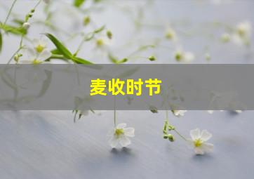 麦收时节