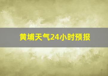 黄埔天气24小时预报