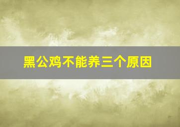 黑公鸡不能养三个原因