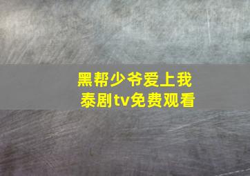 黑帮少爷爱上我泰剧tv免费观看