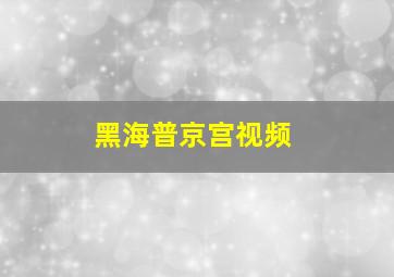 黑海普京宫视频