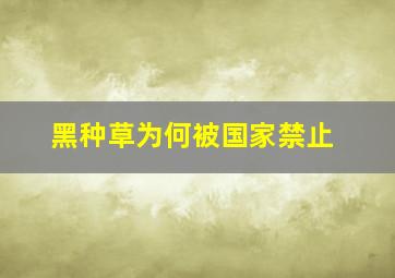 黑种草为何被国家禁止