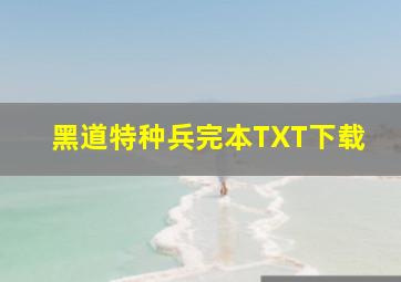 黑道特种兵完本TXT下载