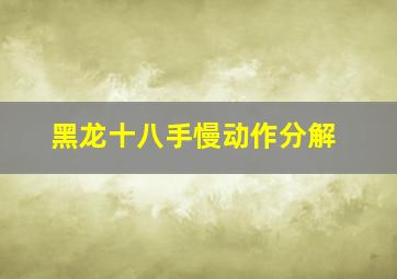 黑龙十八手慢动作分解