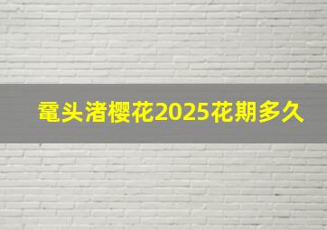 鼋头渚樱花2025花期多久