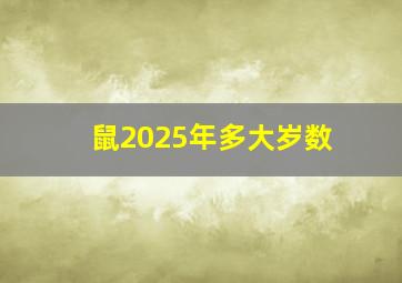 鼠2025年多大岁数