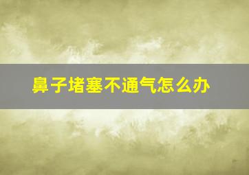 鼻子堵塞不通气怎么办