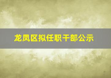 龙凤区拟任职干部公示