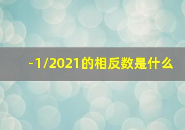 -1/2021的相反数是什么