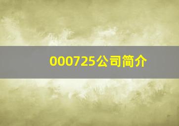 000725公司简介