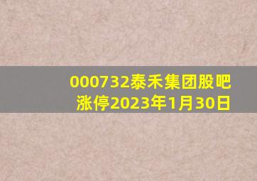 000732泰禾集团股吧涨停2023年1月30日