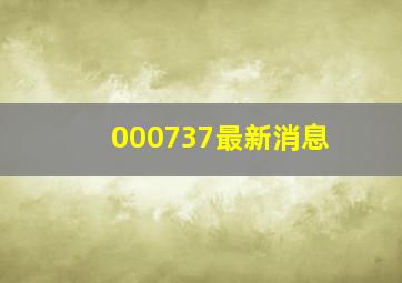 000737最新消息