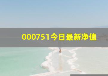 000751今日最新净值