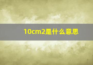 10cm2是什么意思