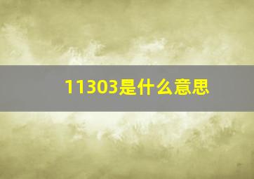 11303是什么意思