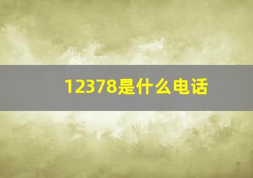 12378是什么电话