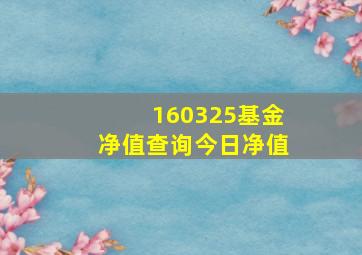 160325基金净值查询今日净值