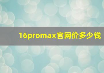 16promax官网价多少钱